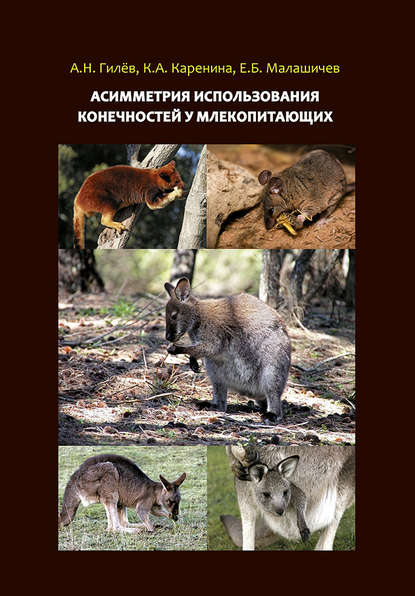 Книга А. Н. Гилев, Андрей Николаевич Гилёв, Карина Андреевна Каренина, Егор Борисович Малашичев Асимметрия использования конечностей у млекопитающих