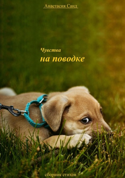 Книга Анастасия Санд Чувства на поводке. Сборник стихотворений