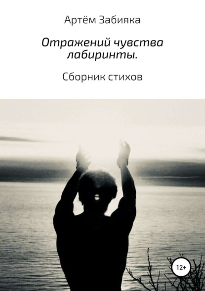 Книга Артём Владимирович Забияка Отражений чувства лабиринты. Сборник стихов