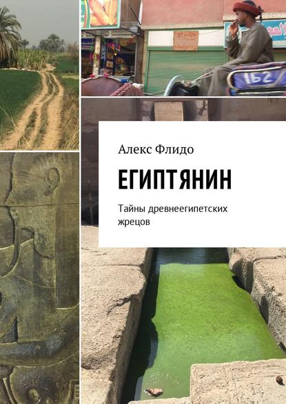 Книга Алекс Флидо Египтянин. Тайны древнеегипетских жрецов