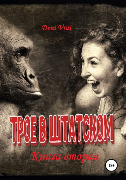 Книга Deni Vrai Трое в штатском. Книга вторая