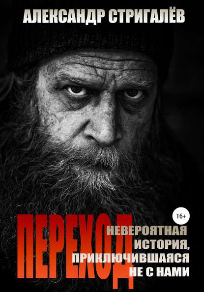 Книга Александр Стригалёв Переход. Невероятная история, приключившаяся не с нами