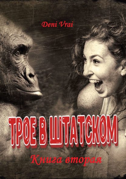 Книга Deni Vrai Трое в штатском. Книга вторая