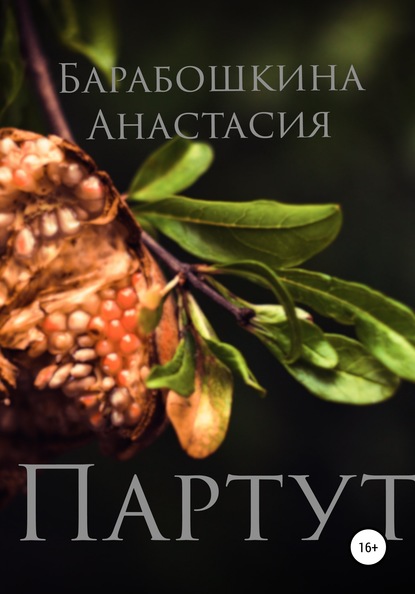 Книга Анастасия Сергеевна Барабошкина Везде, но только здесь