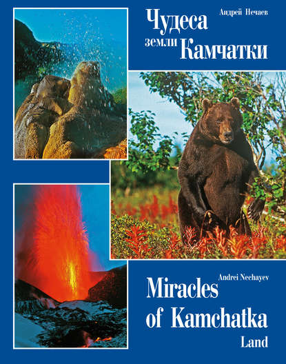 Книга Андрей Мартэнович Нечаев Чудеса земли Камчатки / Miracles of Kamchatka Land