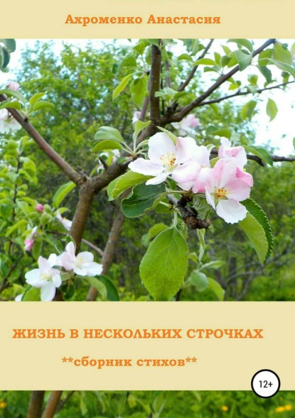 Книга Анастасия Сергеевна Ахроменко Жизнь в нескольких строчках