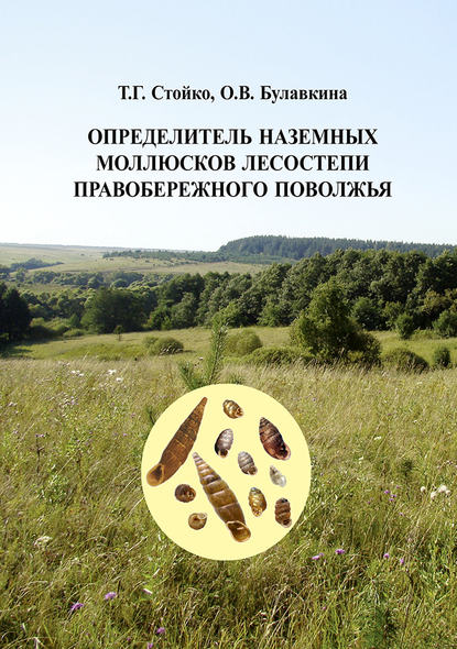 Книга Т. Г. Стойко, Тамара Григорьевна Стойко, Оксана Вячеславовна Булавкина Определитель наземных моллюсков лесостепи Правобережного Поволжья