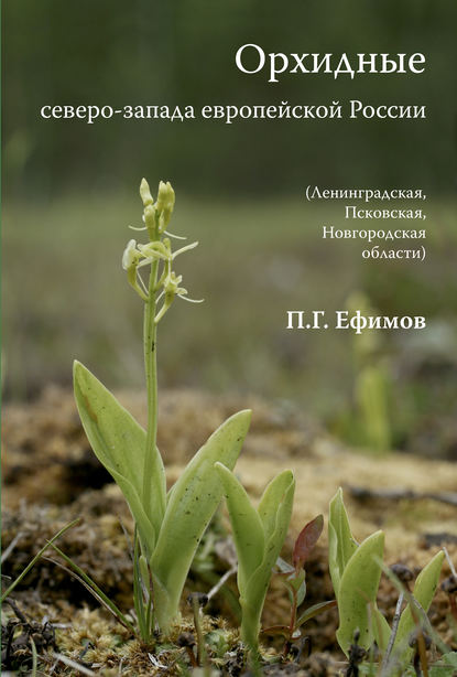 Книга Петр Ефимов, Петр Геннадьевич Ефимов Орхидные северо-запада европейской России