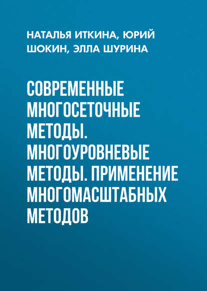 Книга Наталья Борисовна Иткина, Элла Петровна Шурина, Юрий Иванович Шокин, Н. Б. Иткина Современные многосеточные методы. Многоуровневые методы. Применение многомасштабных методов