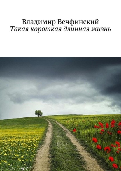 Книга Владимир Вечфинский Такая короткая длинная жизнь