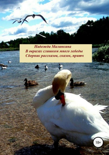 Книга Надежда Викторовна Малинкина В оврагах слишком много лебеды…