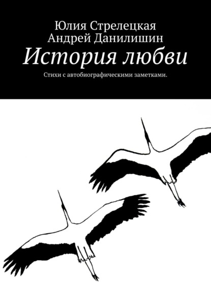 Книга Андрей Данилишин, Юлия Стрелецкая История любви. Стихи с автобиографическими заметками.