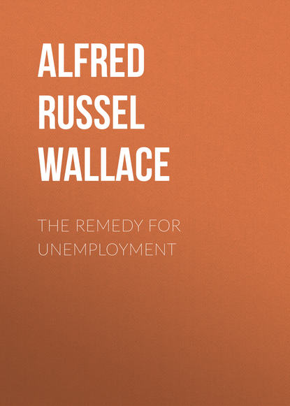 Книга Alfred Wallace, Alfred Russel Wallace The Remedy for Unemployment