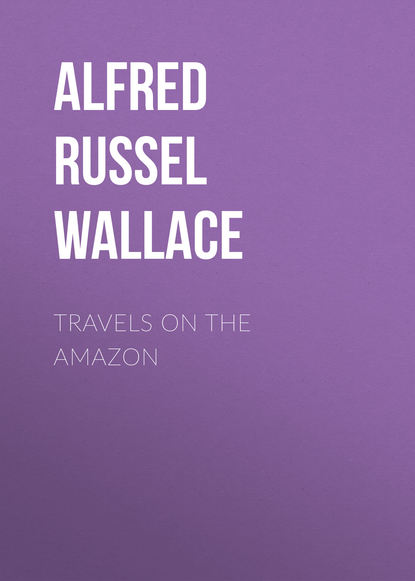 Книга Alfred Wallace, Alfred Russel Wallace Travels on the Amazon
