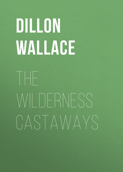 Книга Dillon Wallace The Wilderness Castaways