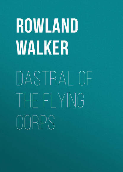 Книга Rowland Walker Dastral of the Flying Corps