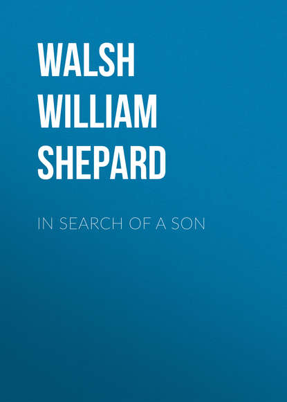 Книга William Walsh, Walsh William Shepard In Search of a Son