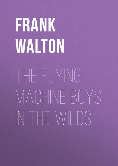Книга Frank Walton The Flying Machine Boys in the Wilds