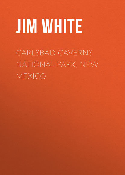 Книга Jim White Carlsbad Caverns National Park, New Mexico