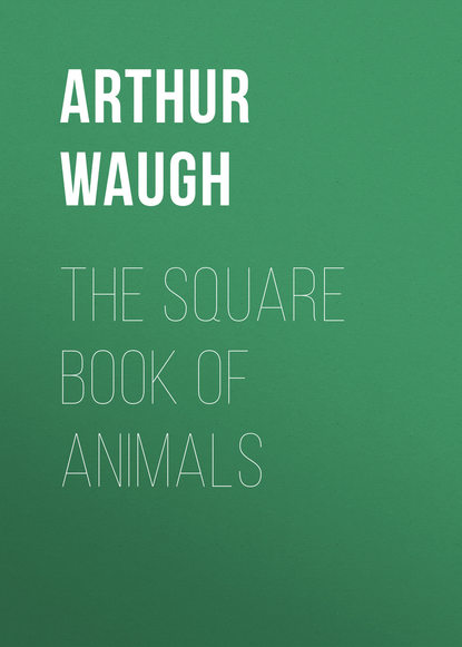 Книга Arthur Waugh The Square Book of Animals