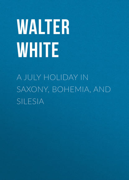Книга Walter White A July Holiday in Saxony, Bohemia, and Silesia