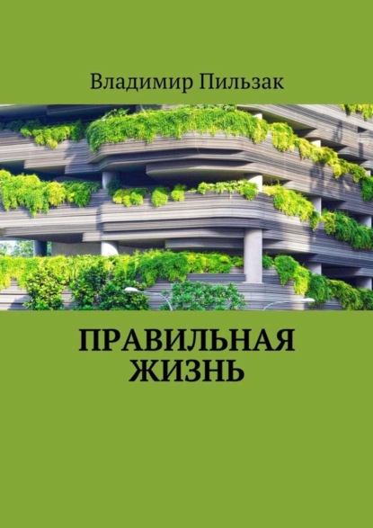 Книга Владимир Пильзак Правильная жизнь