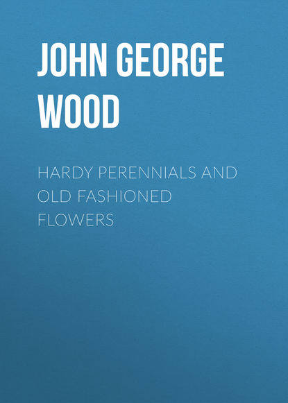 Книга John George Wood Hardy Perennials and Old Fashioned Flowers