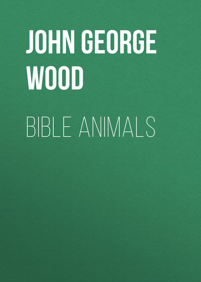 Книга John George Wood Bible Animals