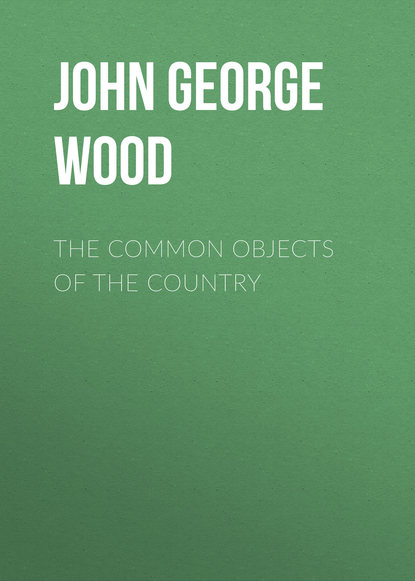 Книга John George Wood The Common Objects of the Country