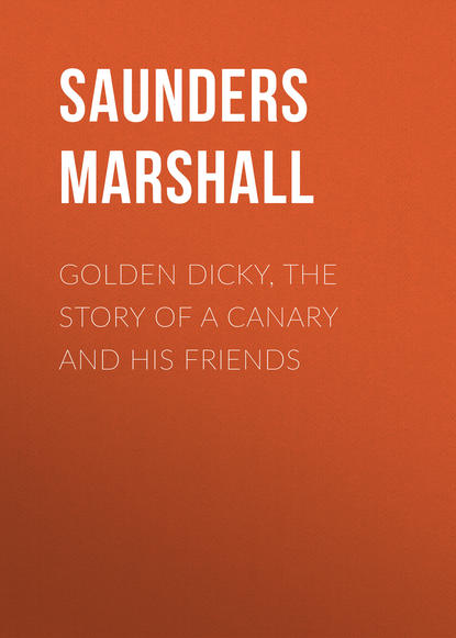 Книга Marshall Saunders, Saunders Marshall Golden Dicky, The Story of a Canary and His Friends