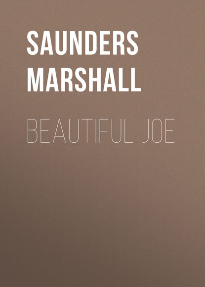 Книга Marshall Saunders, Saunders Marshall Beautiful Joe