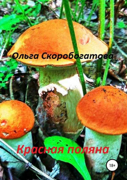 Книга Ольга Александровна Скоробогатова Красная поляна