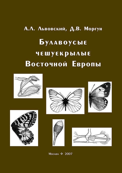 Книга Александр Львовский, Дмитрий Владимирович Моргун, Александр Леонидович Львовский Булавоусые чешуекрылые Восточной Европы