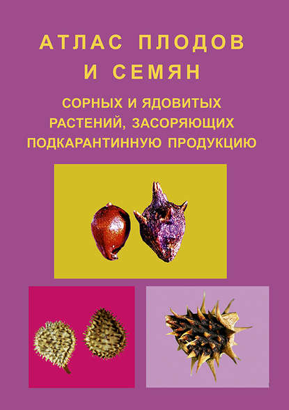 Книга Е. М. Волкова, Елена Михайловна Волкова, Сергей Алексеевич Данкверт, Михаил Иванович Маслов, Уллубий Шамшидович Магомедов Атлас плодов и семян сорных и ядовитых растений, засоряющих подкарантинную продукцию