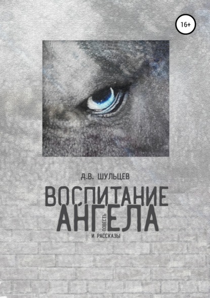 Книга Дмитрий Викторович Шульцев Воспитание ангела. Сборник повести и рассказов