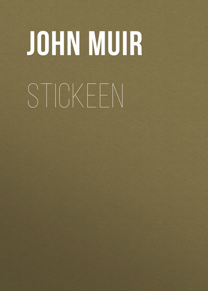 Книга John Muir Stickeen