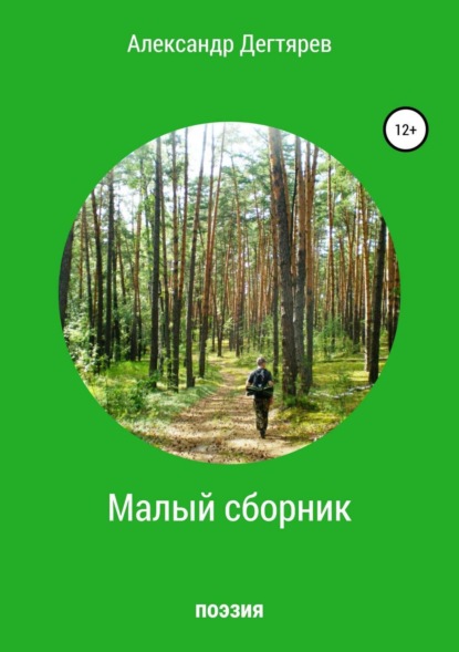 Книга Александр Вячеславович Дегтярев Малый сборник