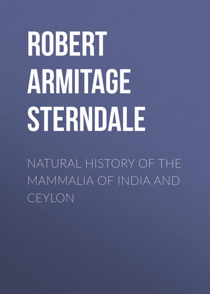 Книга Robert Armitage Sterndale Natural History of the Mammalia of India and Ceylon