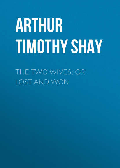 Книга Timothy Arthur, Arthur Timothy Shay The Two Wives; Or, Lost and Won