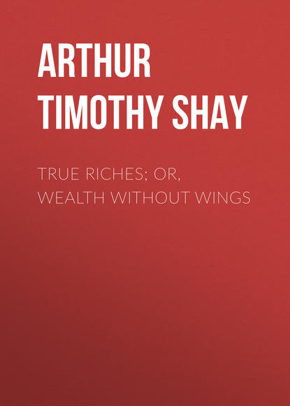 Книга Timothy Arthur, Arthur Timothy Shay True Riches; Or, Wealth Without Wings