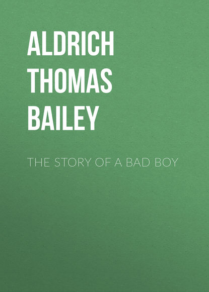 Книга Thomas Aldrich, Aldrich Thomas Bailey The Story of a Bad Boy