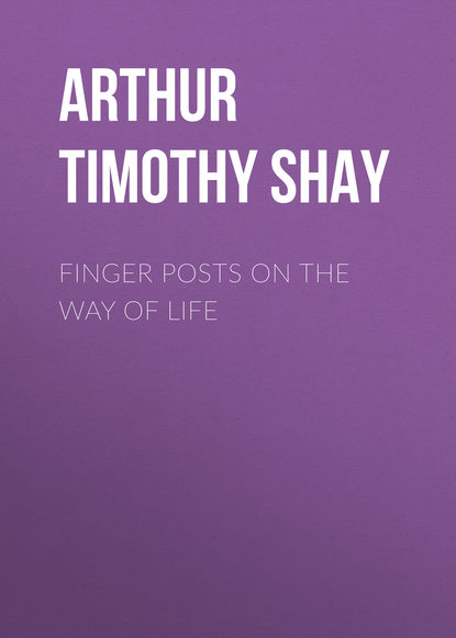 Книга Timothy Arthur, Arthur Timothy Shay Finger Posts on the Way of Life