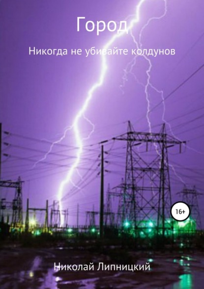 Книга Николай Иванович Липницкий Город. Никогда не убивайте колдунов
