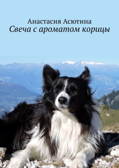 Книга Анастасия Асютина Свеча с ароматом корицы