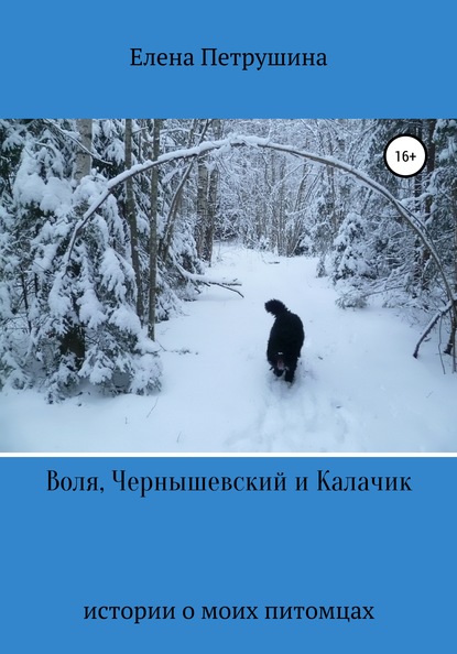 Книга Елена Петрушина Воля, Чернышевский и Калачик