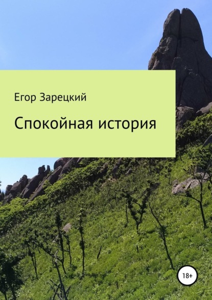 Книга Егор Сергеевич Зарецкий Спокойная история