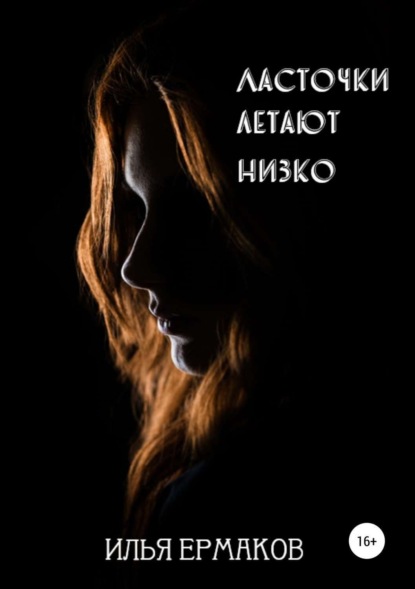 Книга Илья Сергеевич Ермаков Ласточки летают низко
