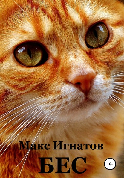 Книга Макс Игнатов Бес