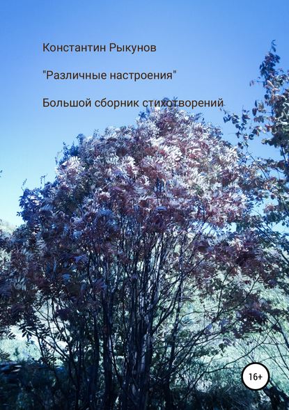 Книга Константин Константинович Рыкунов Различные настроения