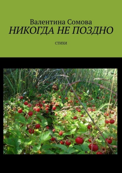 Книга Валентина Сомова Никогда не поздно. Стихи